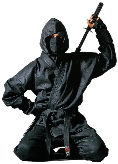 Image result for ninja